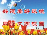 文明创建系列活动