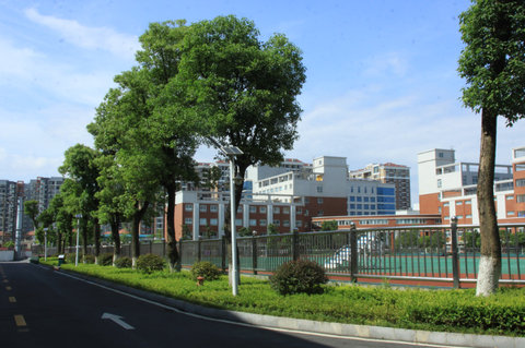 20140620114701383.jpg